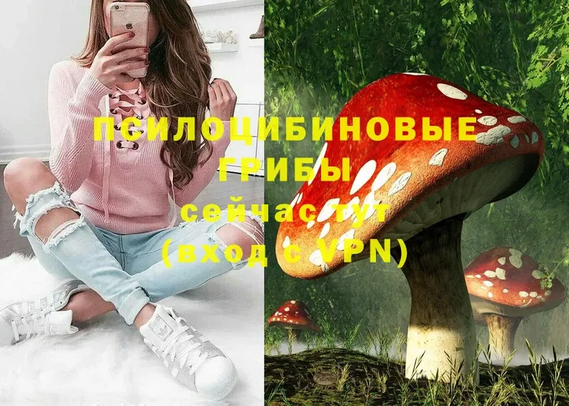 мега вход  Камышин  Галлюциногенные грибы Psilocybine cubensis  купить наркоту 